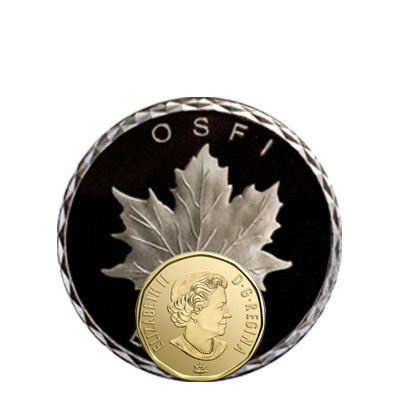 2.25 Inch Custom Coin