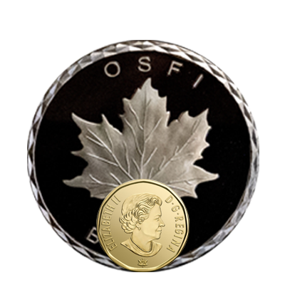 2.5 Inch Custom Coin