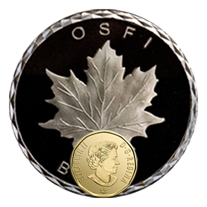 2.75 Inch Custom Coin