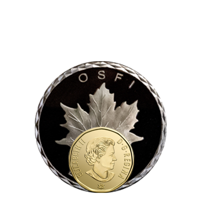 2 Inch Custom Coin