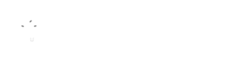 Strike Your Coin logo